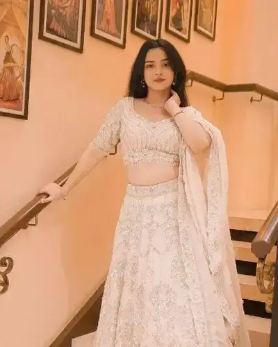 Escort Pappireddipatti
